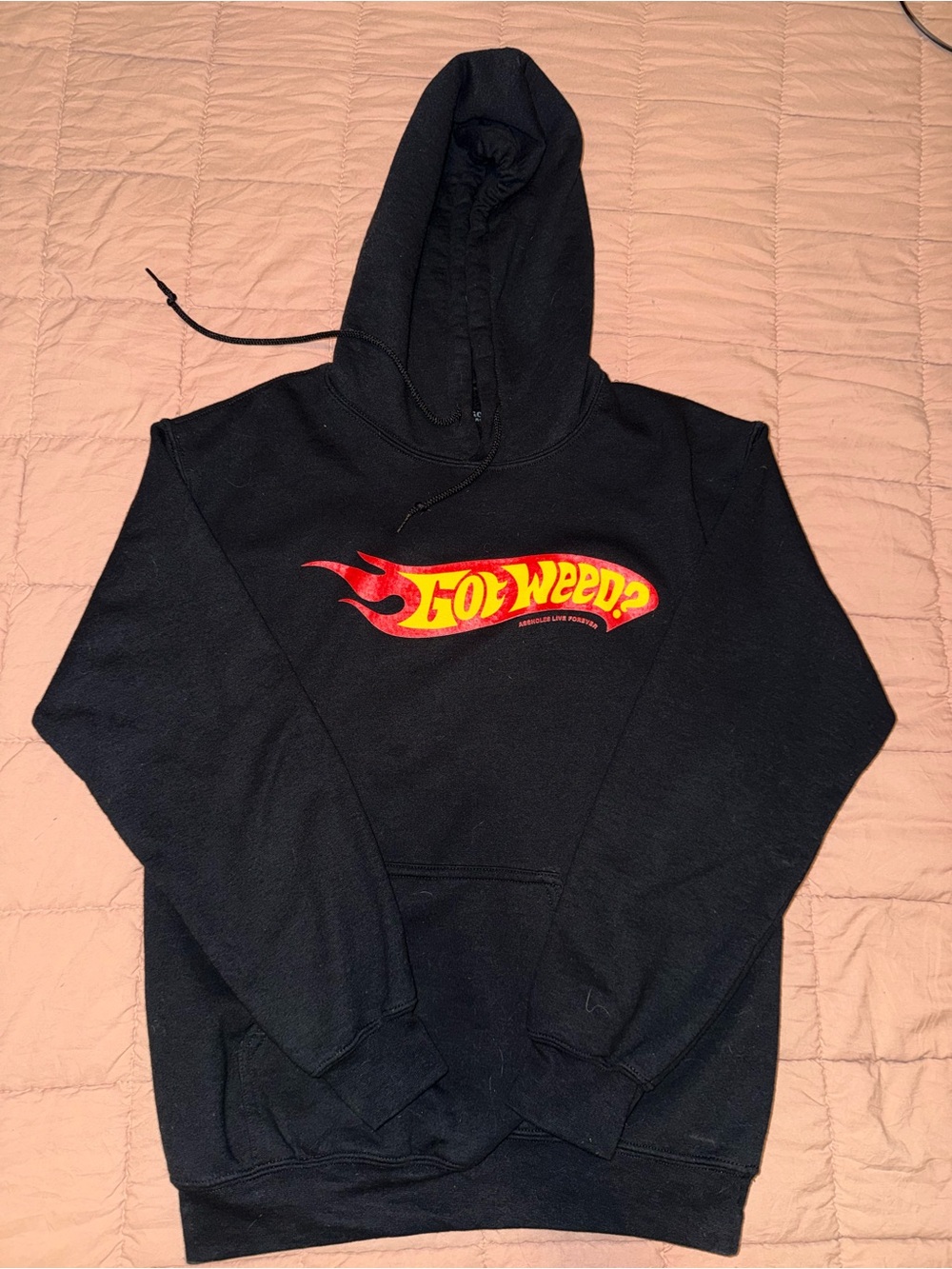 Assholes Live Forever Got Weed Flame Logo